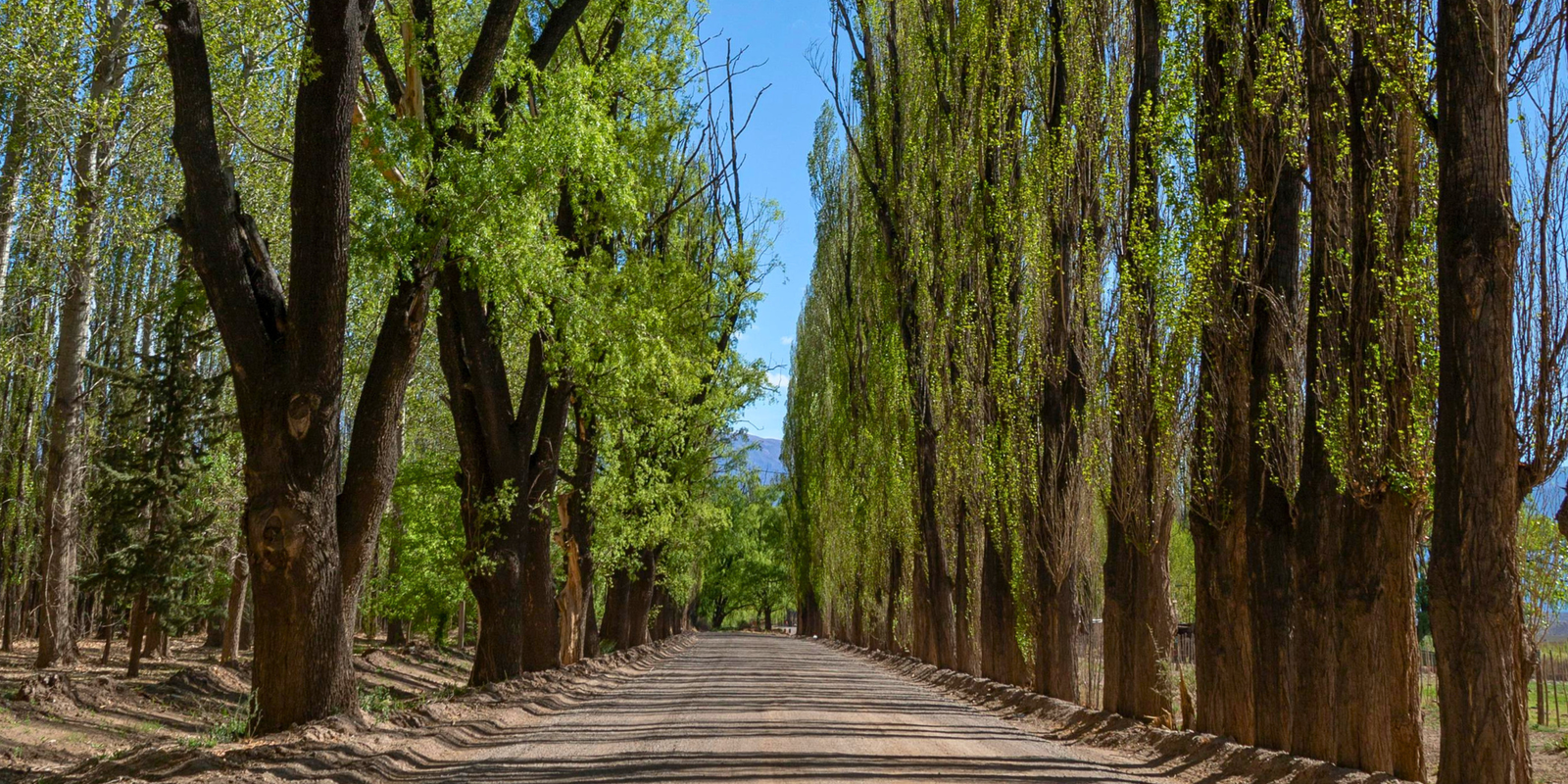 ¿Cuántos días conviene quedarse en San Rafael?